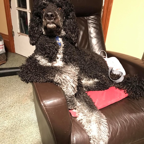 Meet your Posher, Karen - Picture 1 of 1